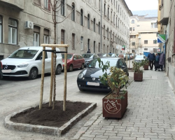 fatanyer_Schwartzer_szerk