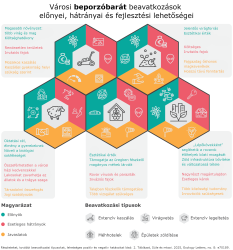 Infographic_Sule_et_al_2025_Ecology_Letters_magyar