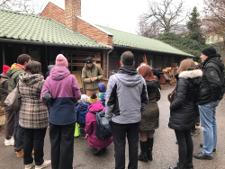 Madargyuruzes_20251213