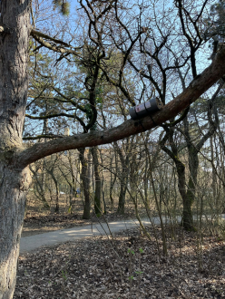 Rege_park_trap_nest